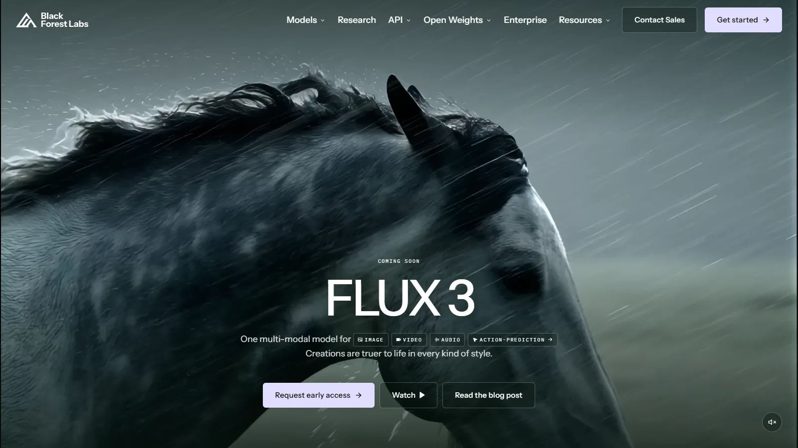 Black Forest LabsのFLUX 3公式ページ