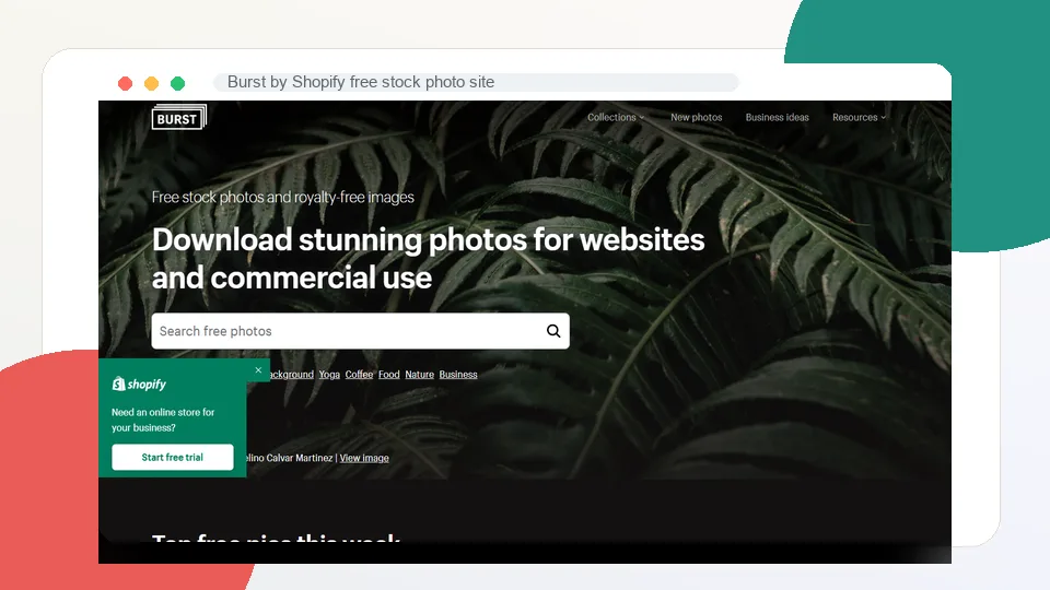 Burst by Shopify free stock photo site interface