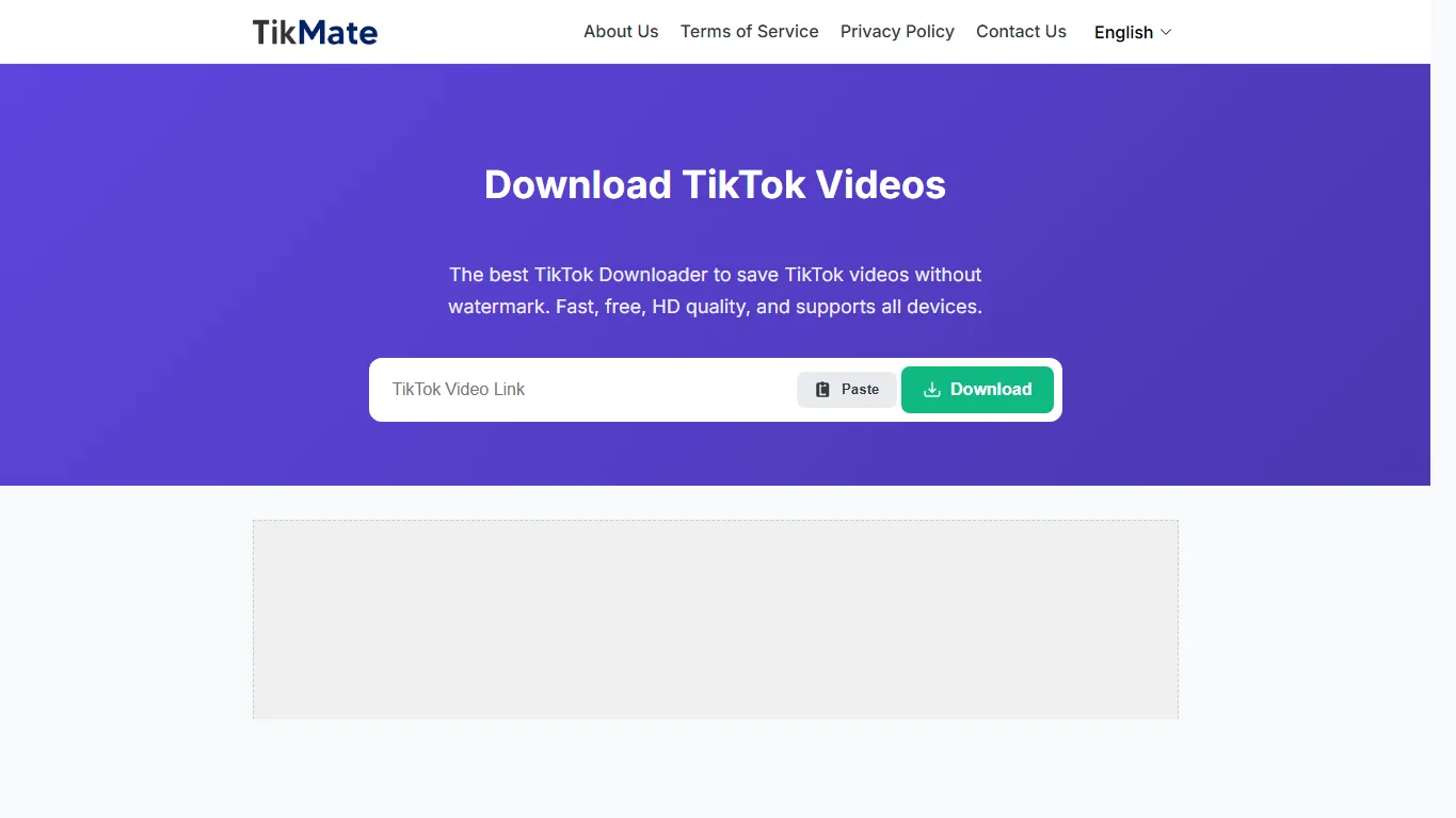 Página do TikMate para baixar vídeos do TikTok