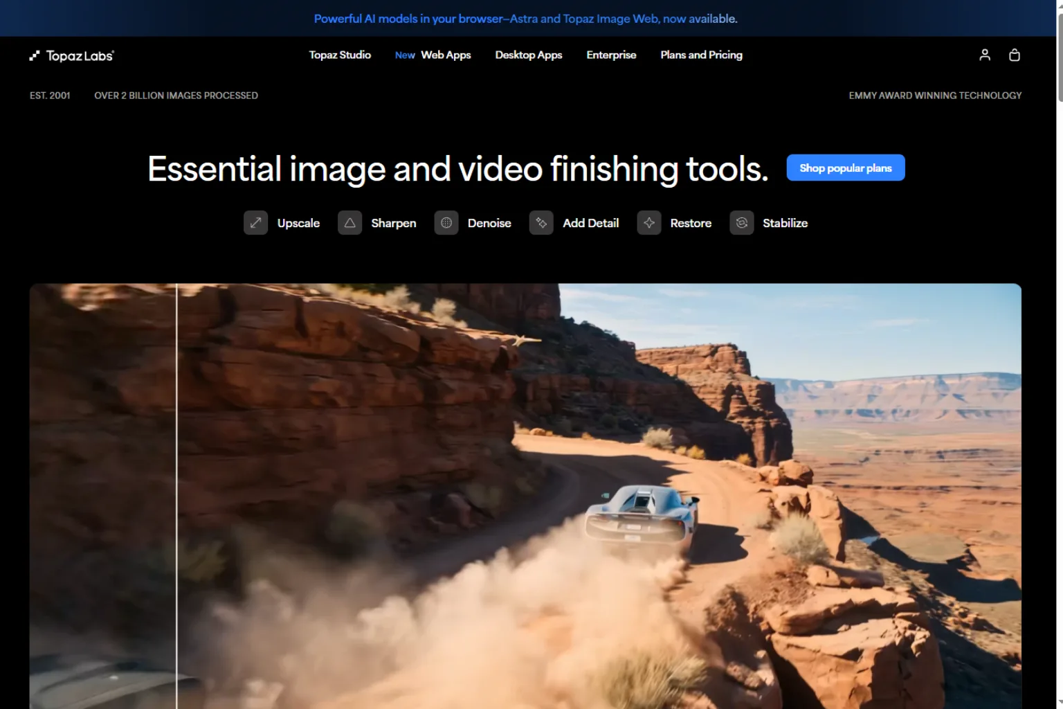 topaz labs