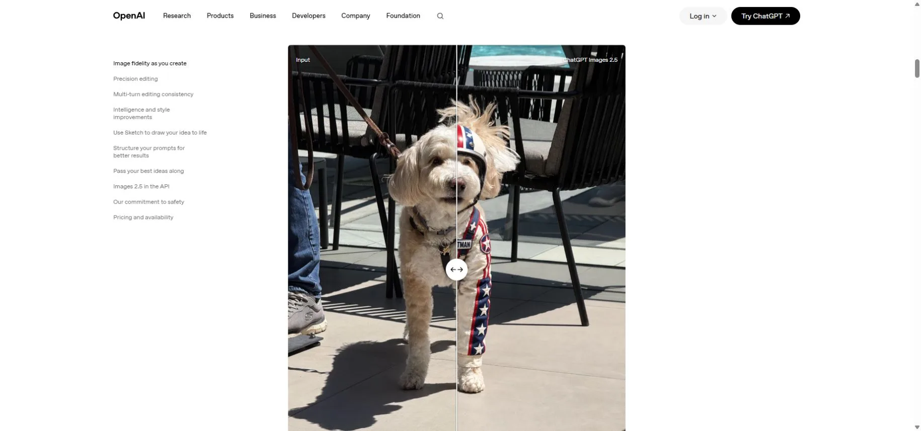 OpenAI reference-image and Images 2.5 dog example