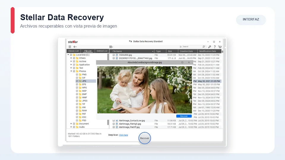 Interfaz de Stellar Data Recovery con archivos recuperables y vista previa de imagen