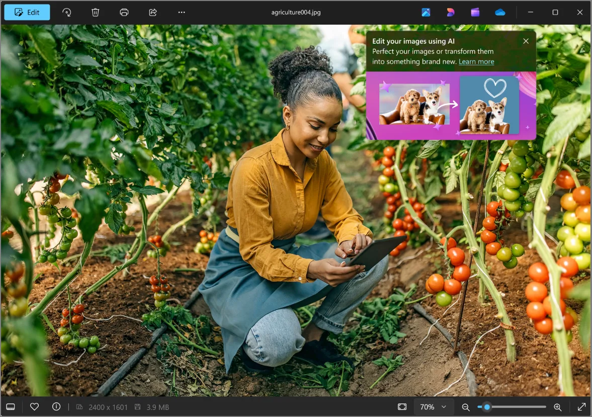 Microsoft Designer interface in the Windows Photos app